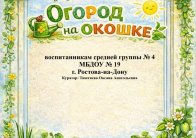Витамины на подоконнике: средняя группа № 4 открывает посевную